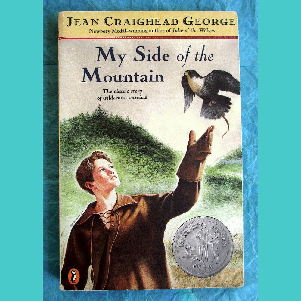 Book: My Side of the Mountain, written & illustrated by Jean Craighead George